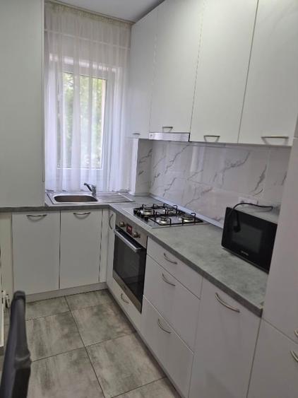 Apartament cu 2 camere semidecomandat în Botizului