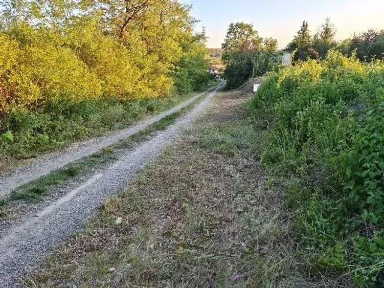 Teren de 2414 mp, în Viile Satu Mare