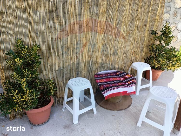 Casă cu 4 camere cu Teren 16499 Mp în Baia de Fier