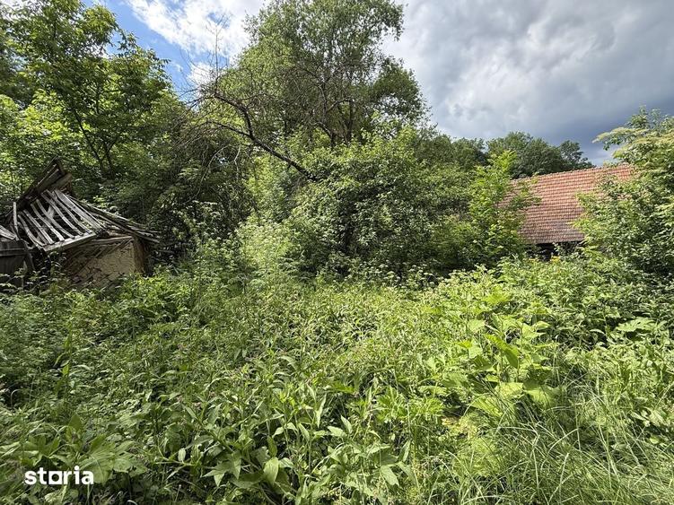 Teren de 683 mp, în Provița de Sus