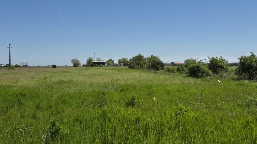 Teren agricol extravilan de 9983 mp, în Berceni