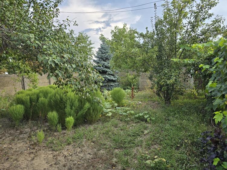 Casă cu 2 camere în Boiu