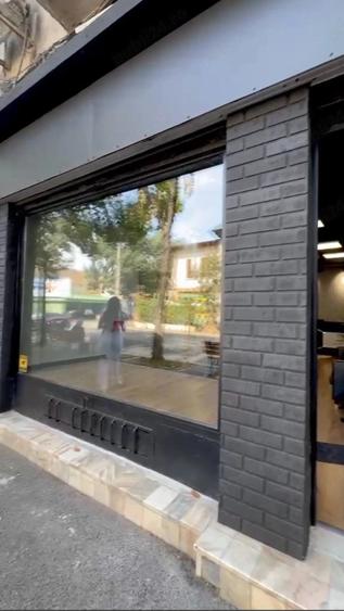 Spațiu comercial, de 36 mp, în Pache Protopopescu