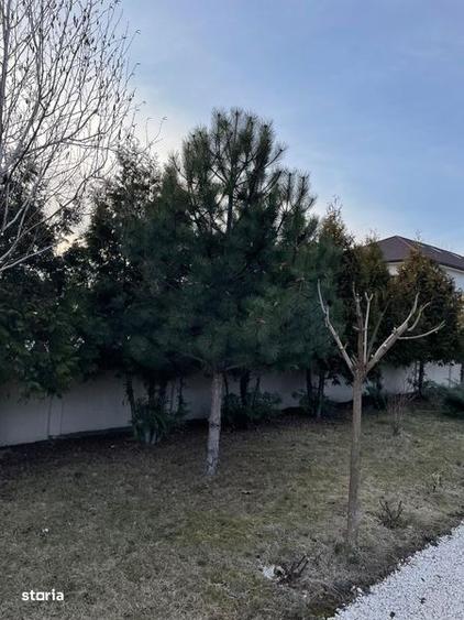 Teren de 330 mp, în Central