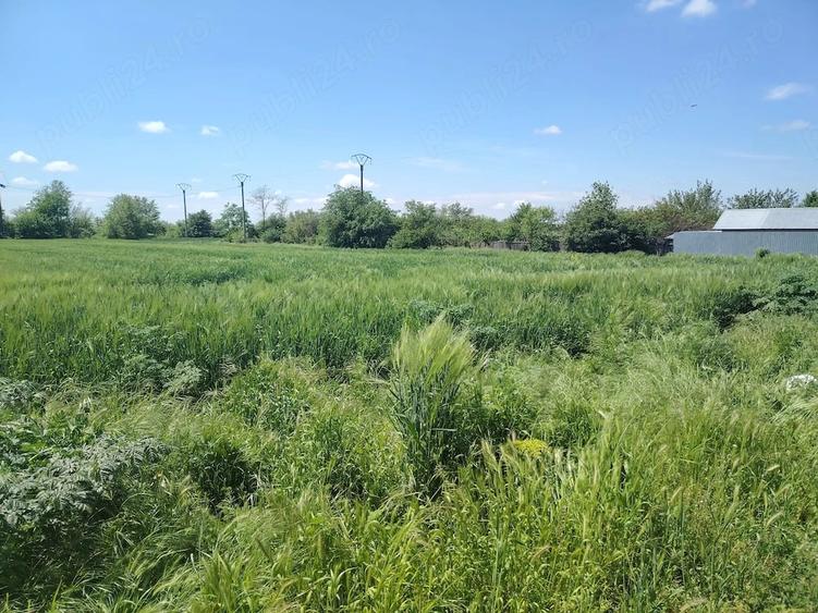 Teren de 1656 mp, în Gârbovi