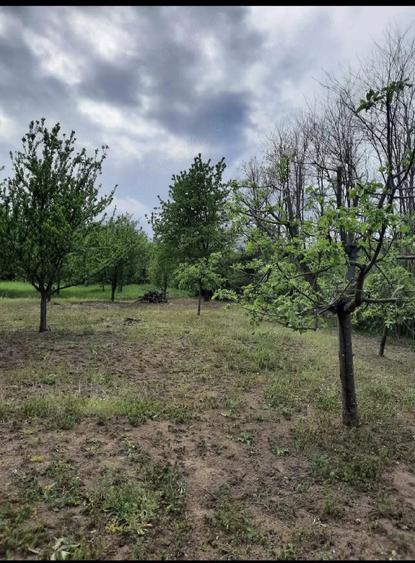 Teren de 2200 mp, în Romos