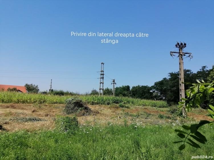 Teren de 3100 mp, în Central