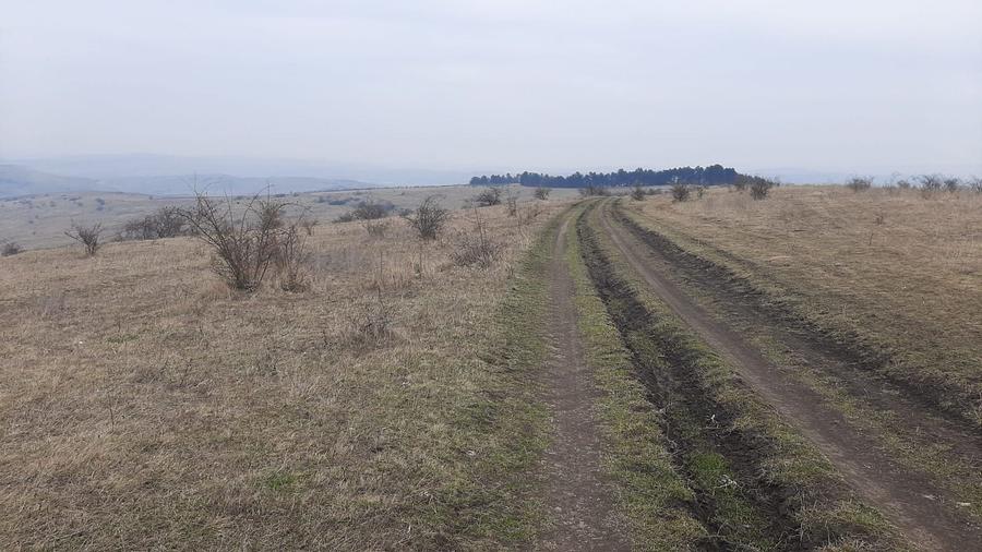 Teren agricol extravilan de 119500 mp, în Iris