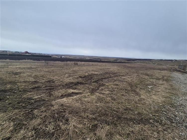 Teren agricol extravilan de 800 mp, în Moara Nica