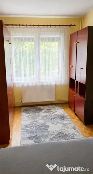 Apartament cu 2 camere nedecomandat în Astra
