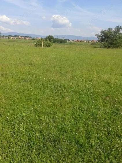 Teren de 3900 mp, în Central