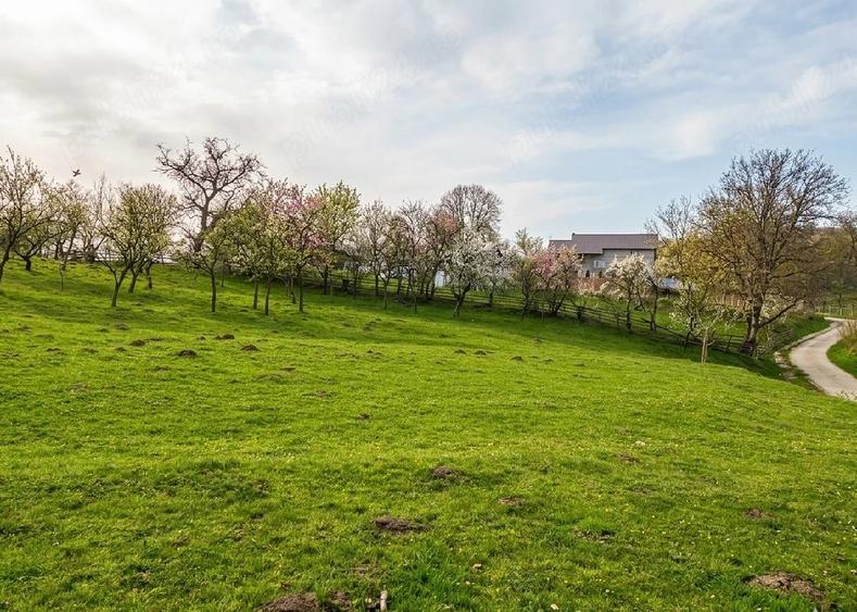Teren de 4275 mp, în Ilva Mică