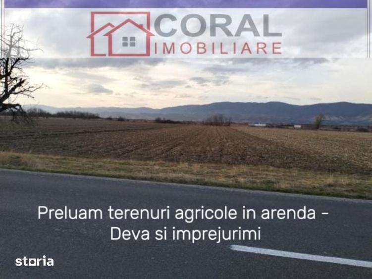 Teren de 1000 mp, în Decebal