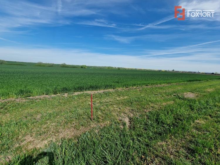 Teren agricol extravilan de 9500 mp, în Remetea Mare