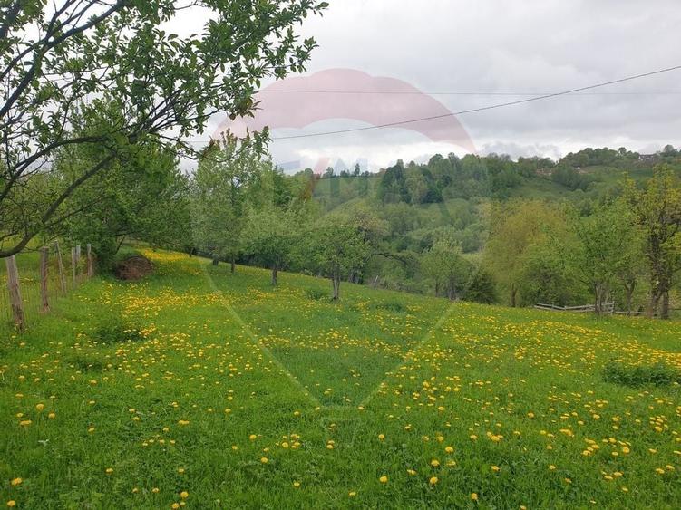 Teren Construcții intravilan de 2000 mp, în Bran