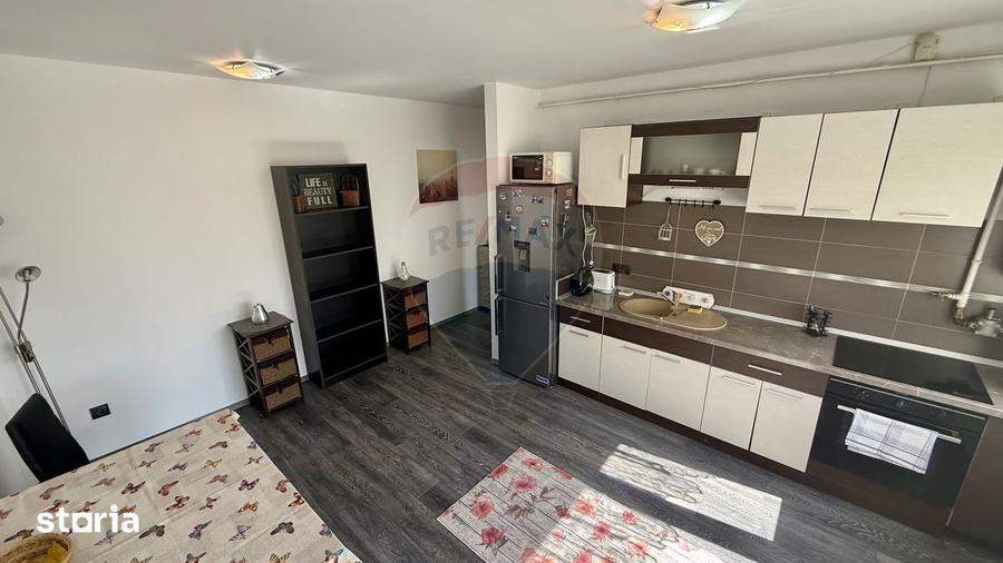 Apartament cu 2 camere, mobilat în Săsar