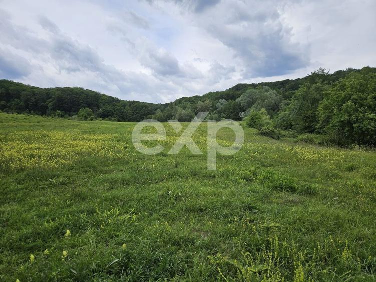 Teren agricol extravilan de 11935 mp, în Mărgineni
