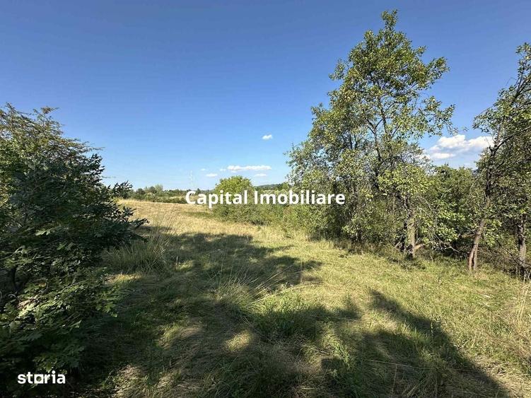 Spațiu comercial, în Calea Caransebeșului
