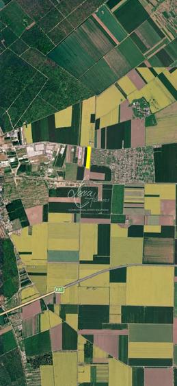 Teren Construcții extravilan de 10000 mp, în Brănești
