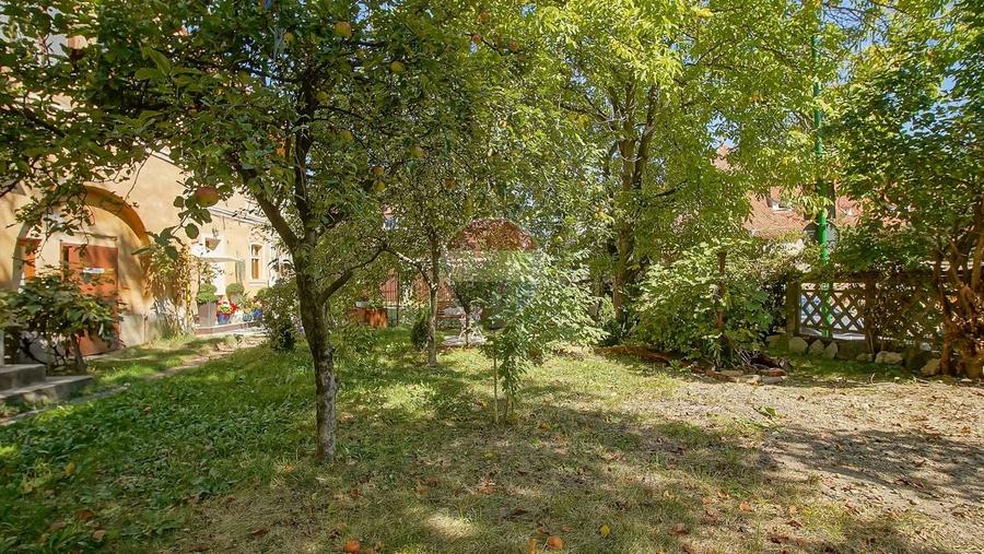 2 CAMERE NOU RENOVAT | TERASA SI GRADINA, PIVNITA | CENTRUL ISTORIC - 27