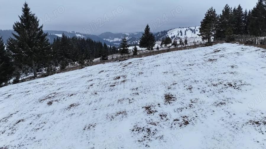 Teren de 25731 mp, în Breaza