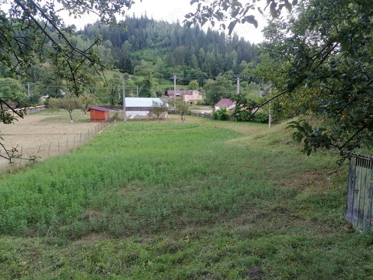 Teren de 3144 mp, în Hangu
