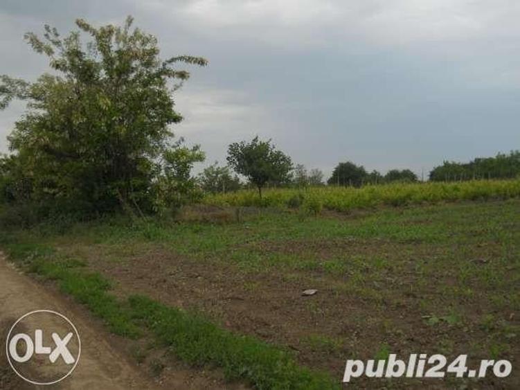 Teren de 2800 mp, în Central