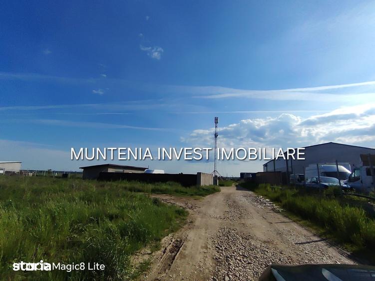 Teren de 11197 mp, în Moșoaia