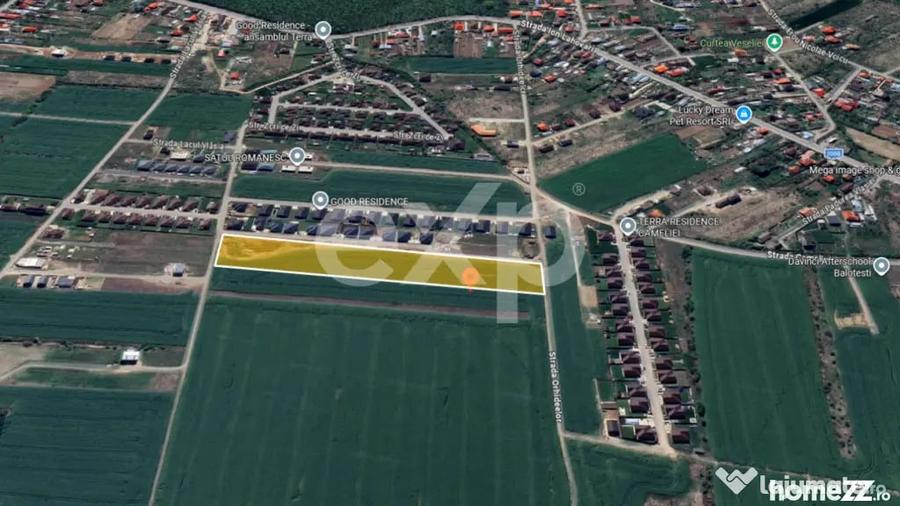 Teren 10.000mp parcelat Balotesti - 1