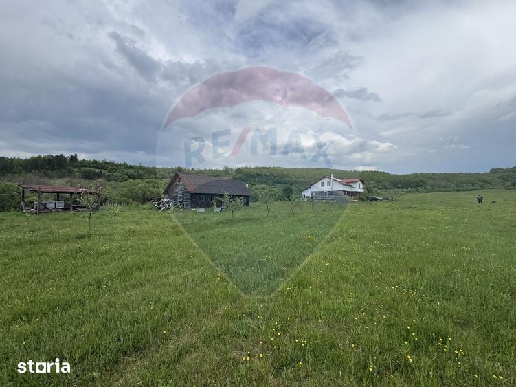 Casă cu 4 camere cu Teren 57600 Mp în Zimbor
