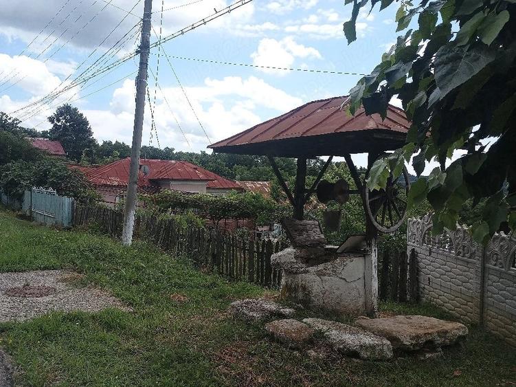 Teren de 1600 mp, în Siliștea