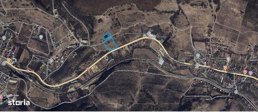 Teren intravilan 11.600mp iesire Baciu DN 1F / E81 - 1