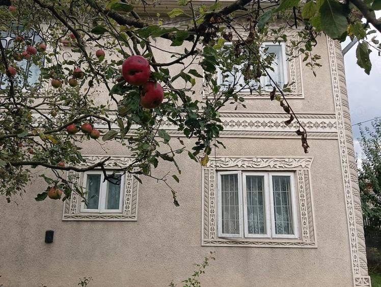 Casă cu Teren 1650 Mp în Lunca (Pașcani)