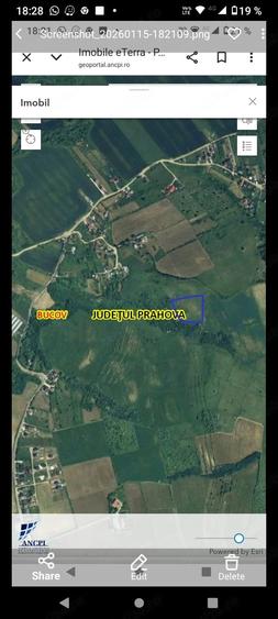Teren de 17800 mp, în Bighilin