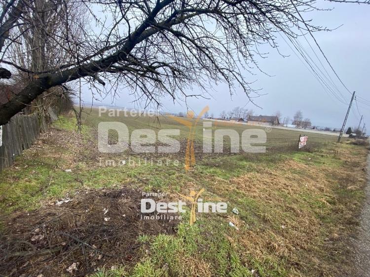 Teren Construcții intravilan de 7200 mp, în Doina