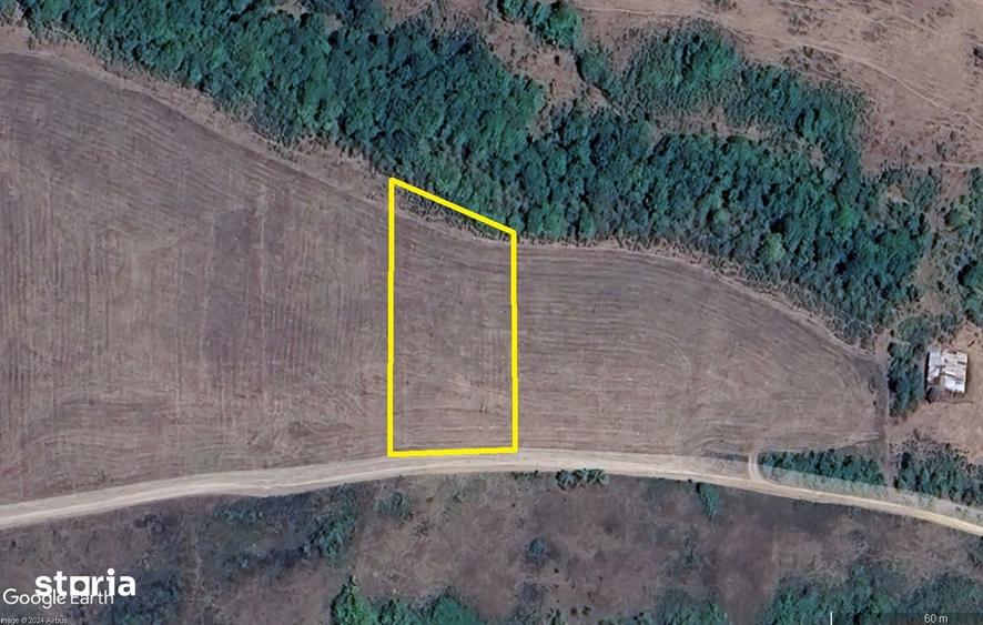 Teren de 2500 mp, în Central