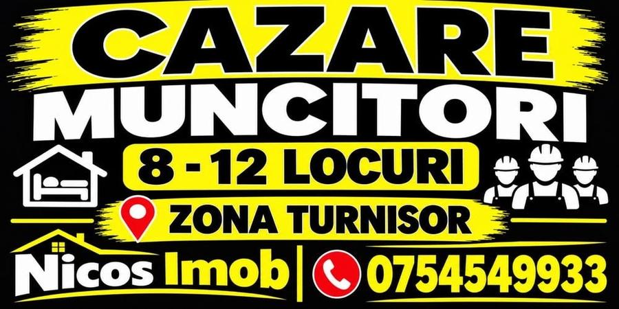 Casă cu 4 camere cu Teren 100 Mp în Turnișor
