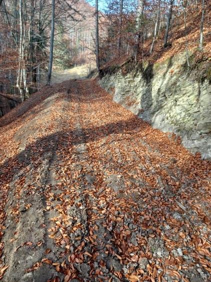 Teren intravilan de 22200 mp, în Lepșa