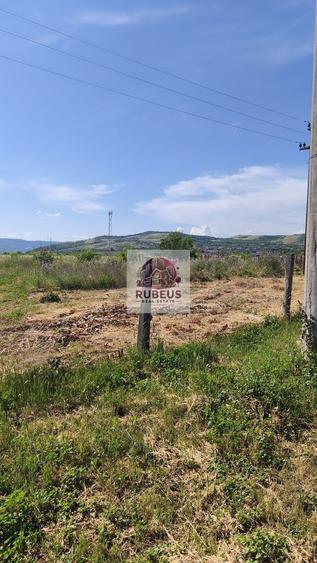 Teren Construcții intravilan de 12003 mp, în Schela Cladovei