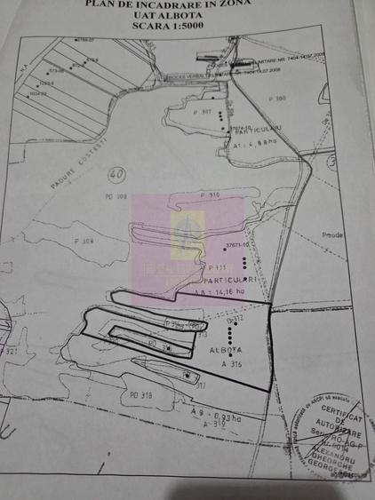 Teren agricol extravilan de 94000 mp, în Albota