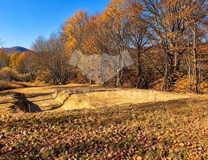 Teren Construcții intravilan de 1300 mp, în Cheia