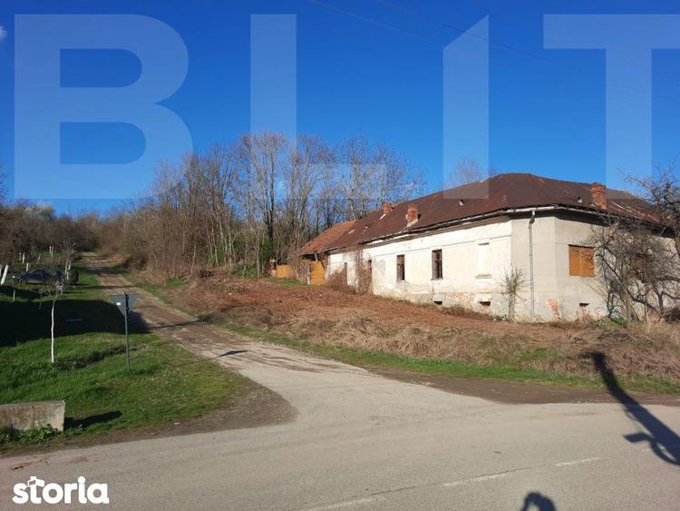 Casa de vanzare, necesita revonare, 200 mp+10.000 mp teren - Zgribesti - 9