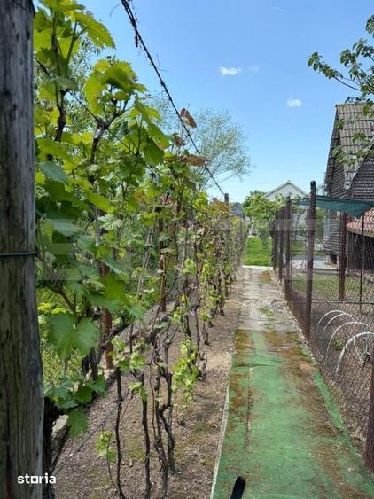 Casă cu 3 camere cu Teren 900 Mp în Lascăr Catargiu