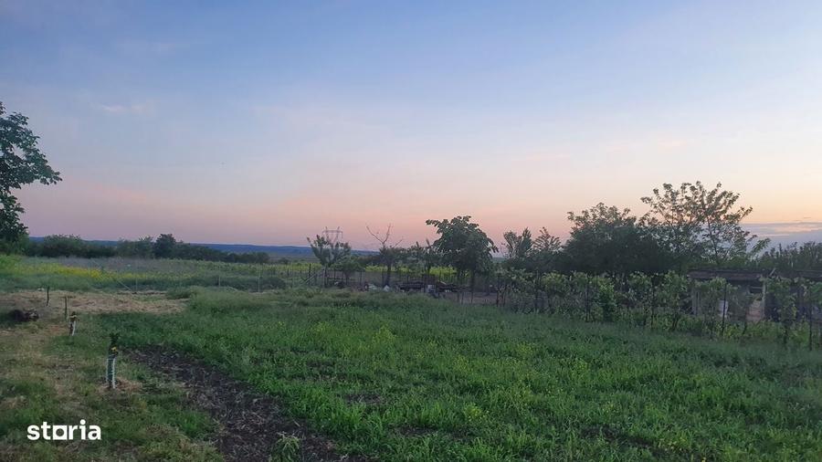 Teren de 3000 mp, în Dorobanțu