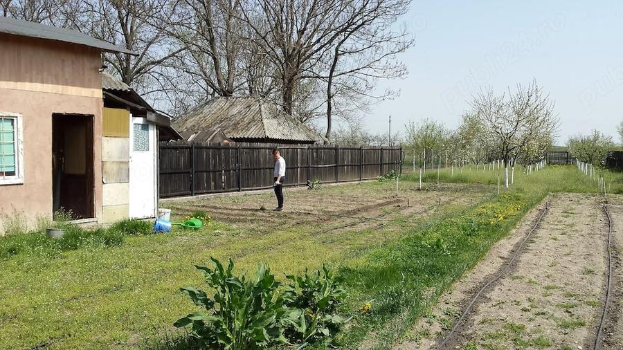 Teren de 5000 mp, în Colonești