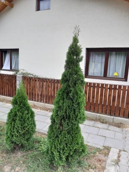 Casă individuală cu 2 camere cu Canalizare în Central