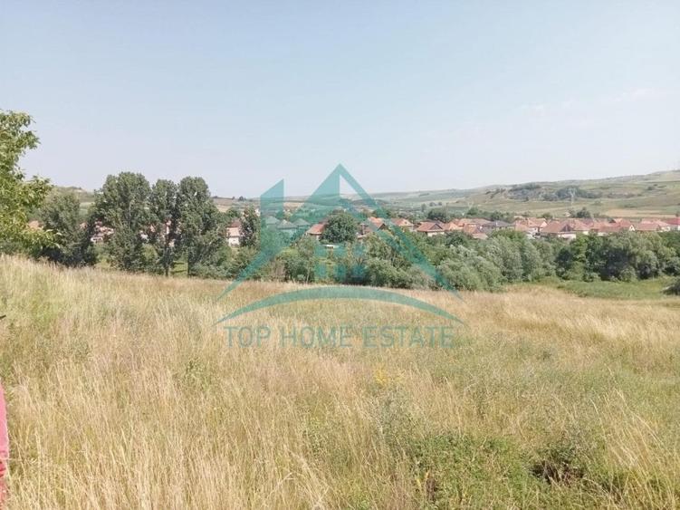 Teren Construcții intravilan de 3000 mp, în Corușu