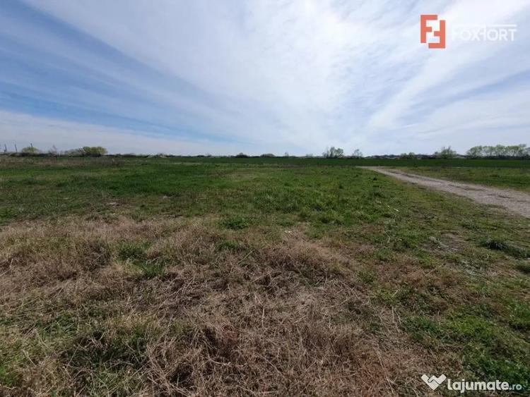 Teren de 504 mp, în Utvin