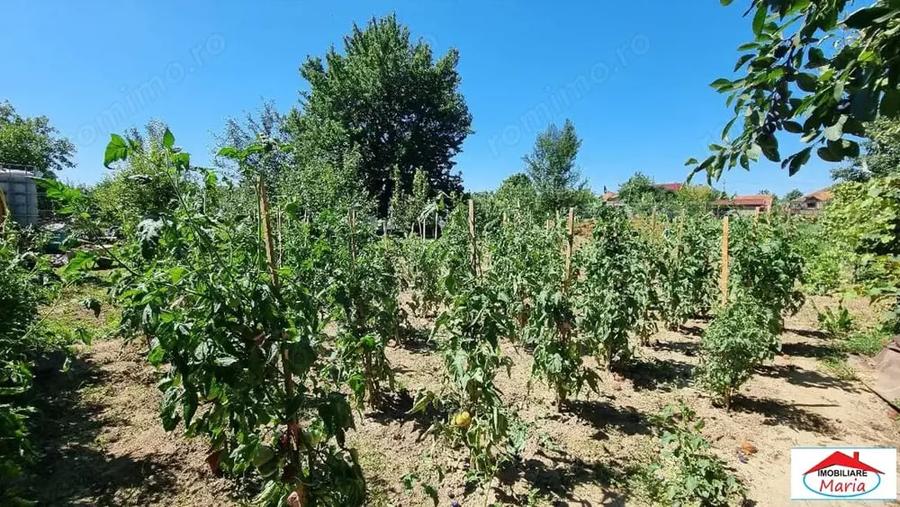 Casă cu Teren 1452 Mp în Lazuri