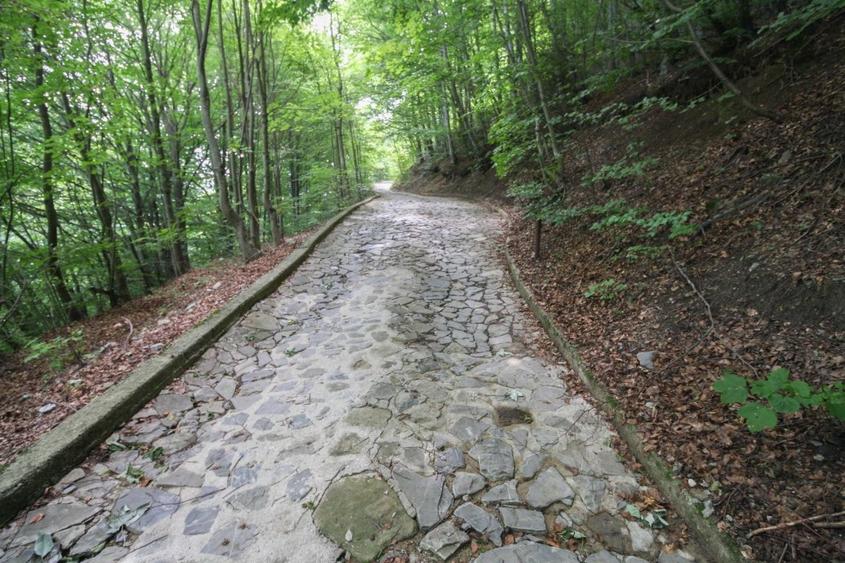 Teren Construcții intravilan de 299 mp, în Sinaia